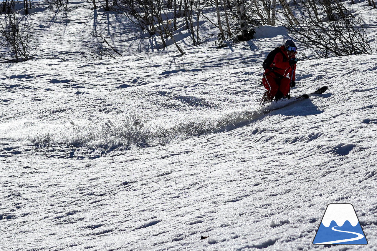 ニセコグラン・ヒラフ DYNASTAR SKI TEST RIDE DAYS Photo Session!!最高の天気に恵まれたニセコに、最高の仲間たちが集まりました☆